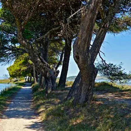 شقة A - 23 M² - Climatisation سيجيان